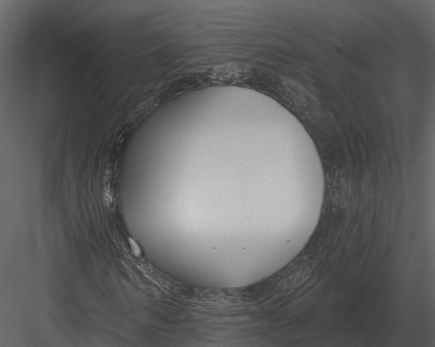 X0000082930962200702222215