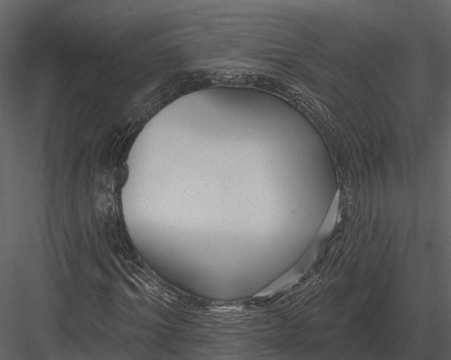 X0000082930964200702222215