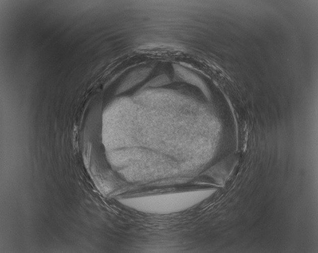 X0000082930965200702222215