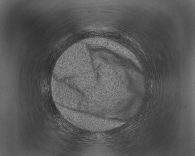 X0000082930966200702222215