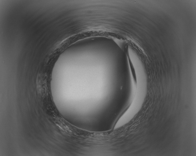 X0000082930968200702222215