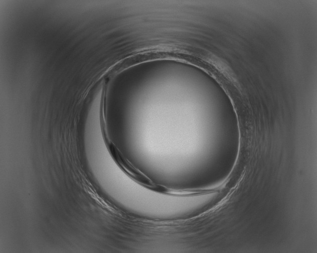 X0000082930969200702222215