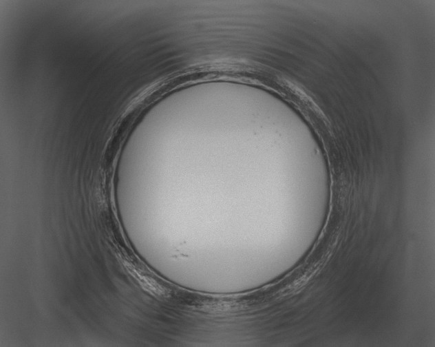 X0000082930970200702222215