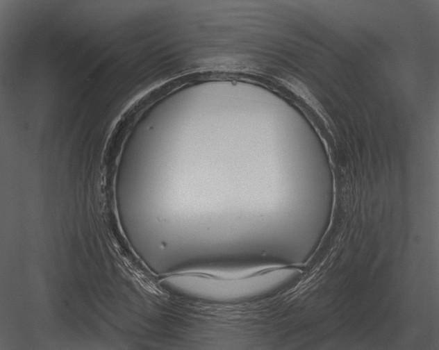 X0000082930971200702222215