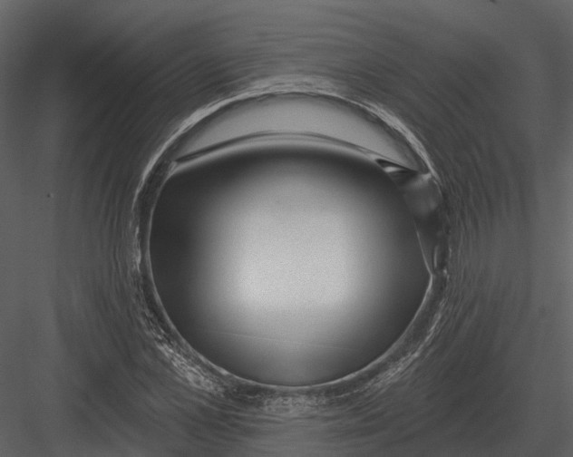 X0000082930973200702222215