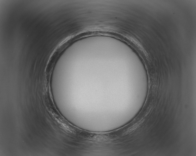 X0000082930974200702222215