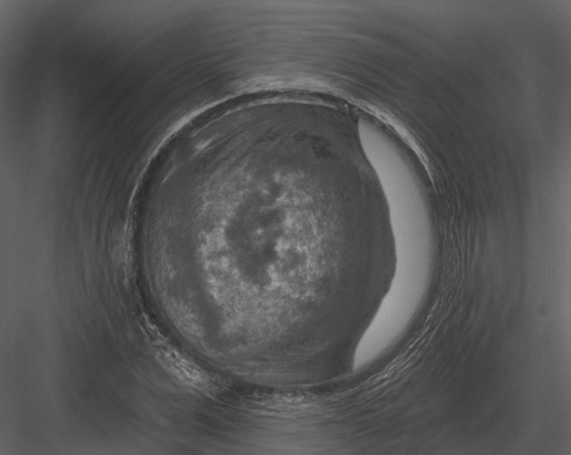 X0000082930975200702222215