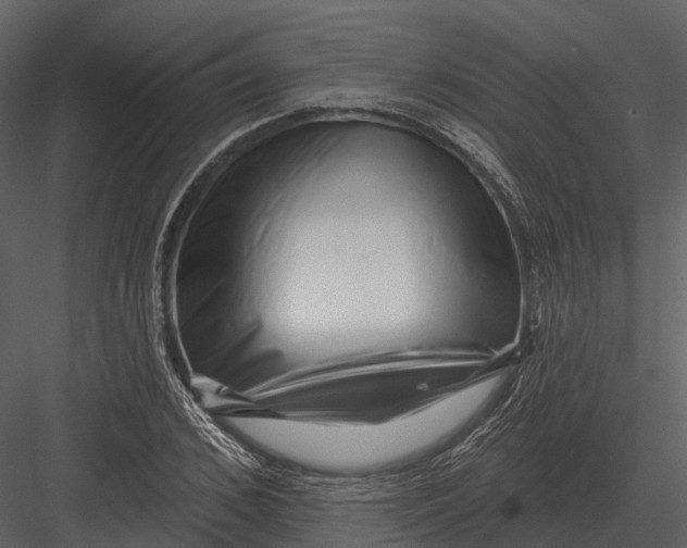 X0000082930976200702222215