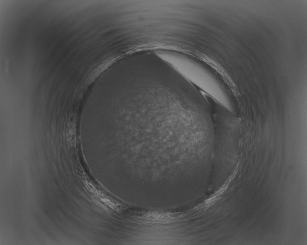 X0000082930977200702222215