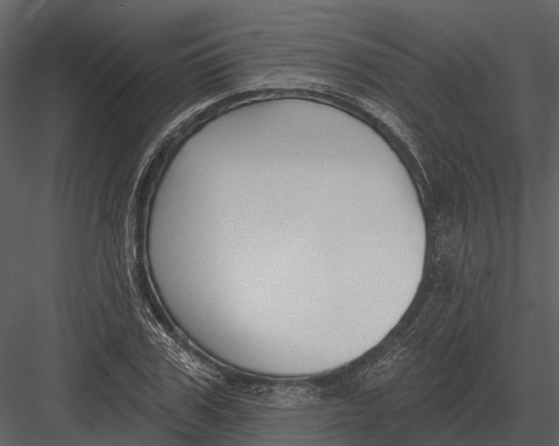 X0000082930979200702222215