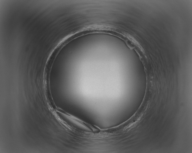 X0000082930981200702222215