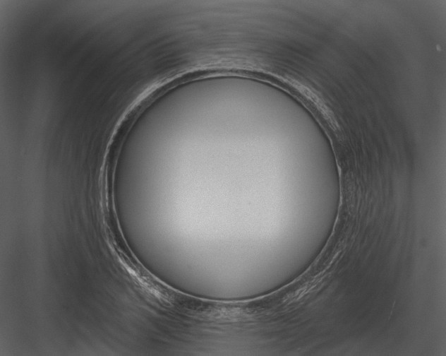 X0000082930982200702222215