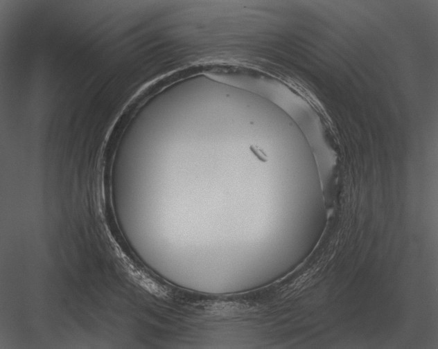 X0000082930984200702222215