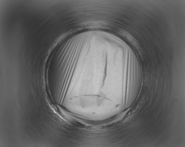 X0000082930986200702222215