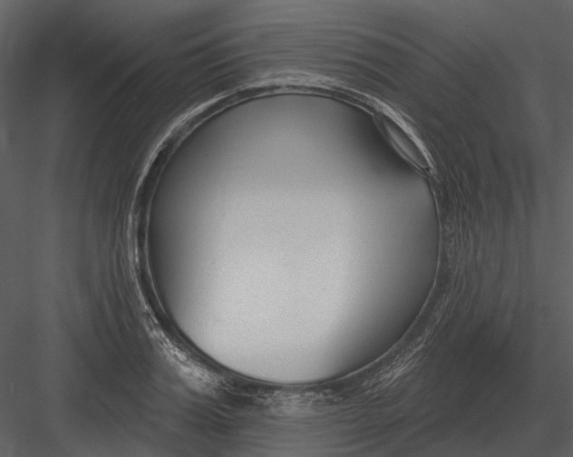 X0000082930987200702222215