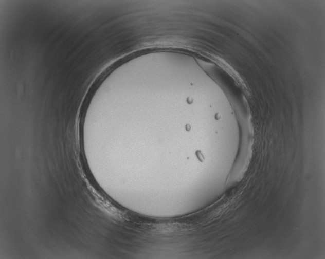 X0000082930988200702222215