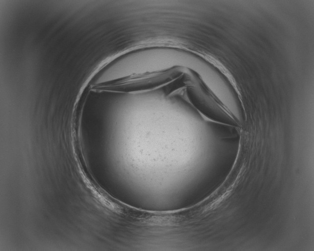 X0000082930989200702222215