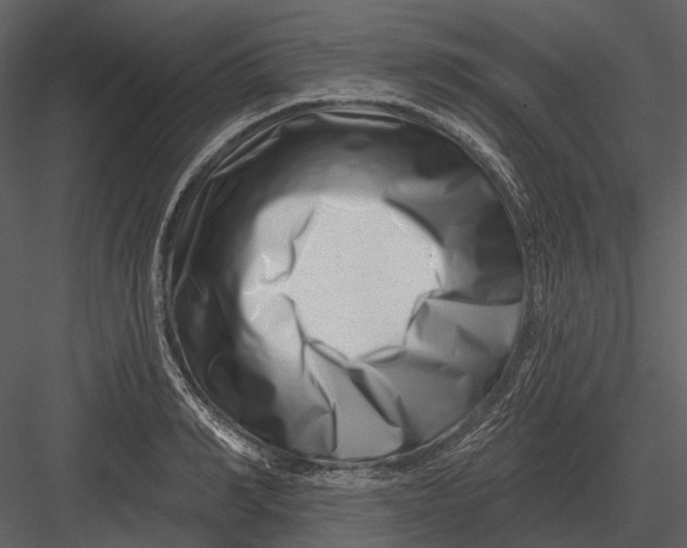 X0000082930990200702222215