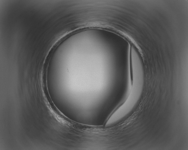 X0000082930991200702222215