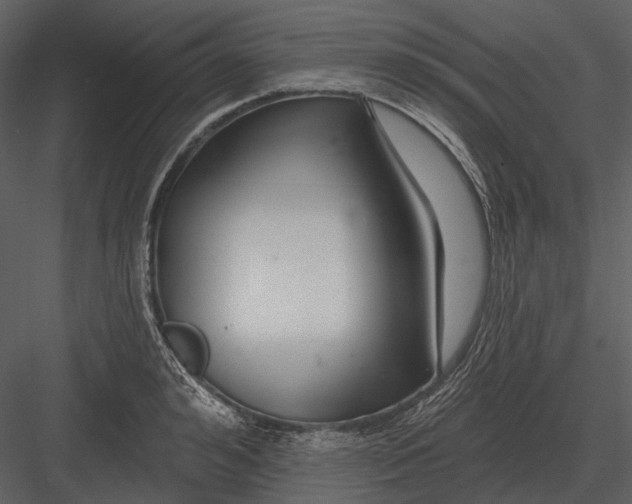 X0000082930992200702222215