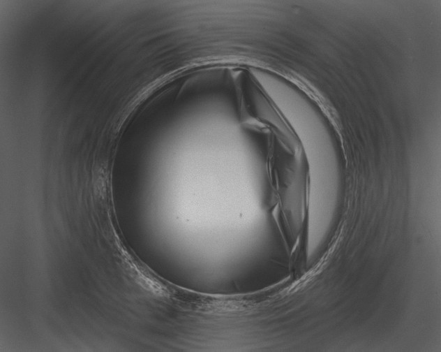 X0000082930993200702222215