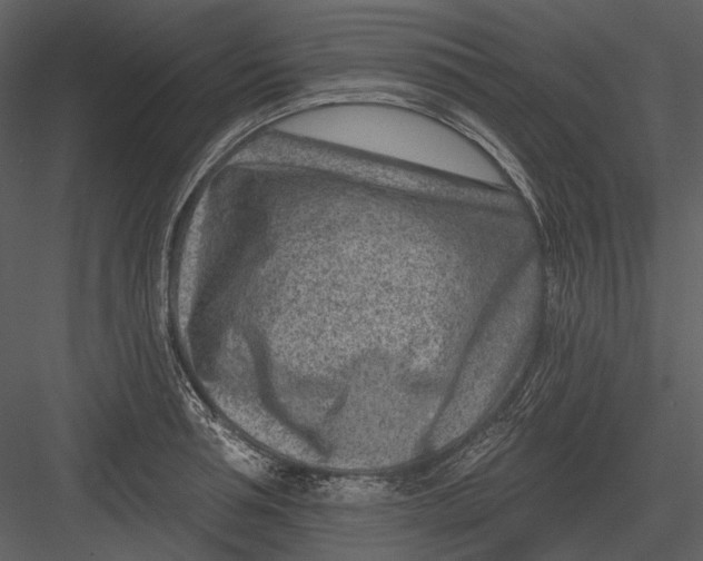 X0000082930994200702222215