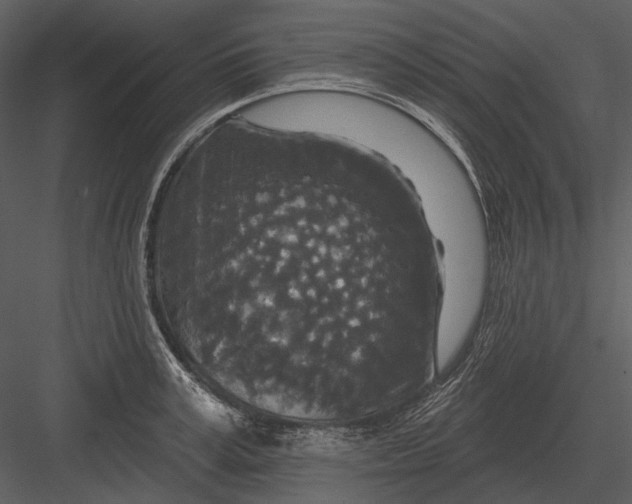 X0000082930995200702222215