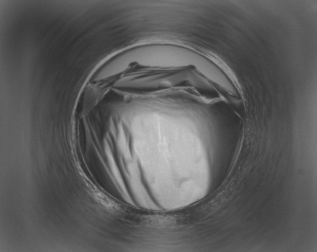 X0000082930996200702222215