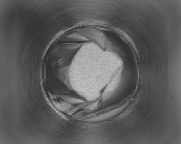 X0000082930997200702222215