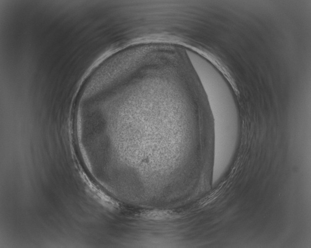 X0000082930998200702222215