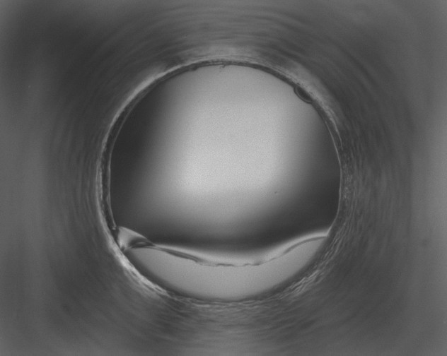 X0000082930999200702222214