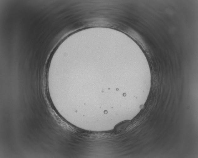 X0000082931000200702222214