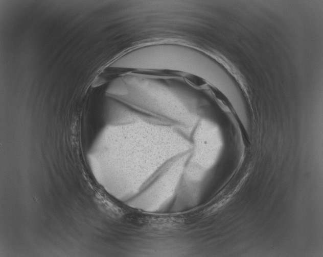 X0000082931001200702222214