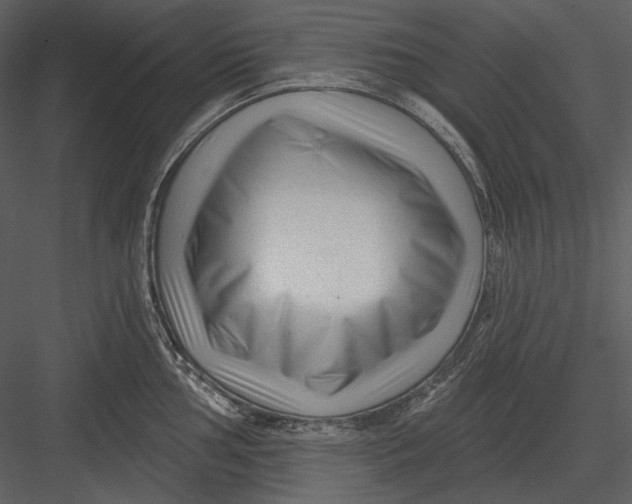 X0000082931002200702222214