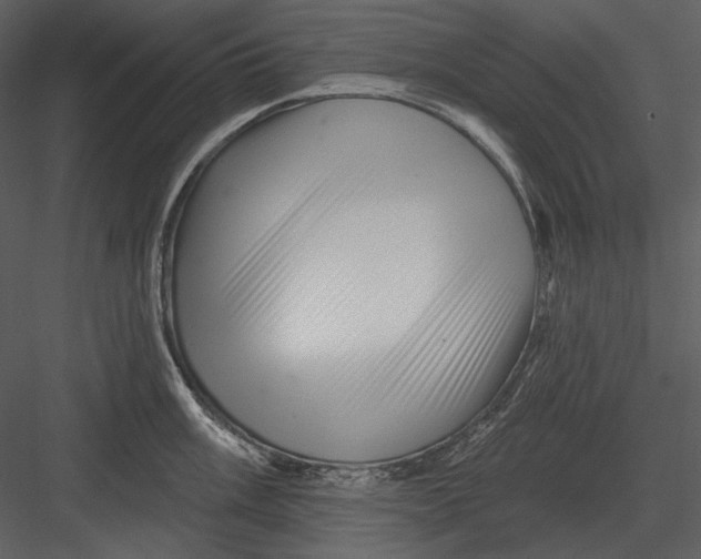 X0000082931003200702222214