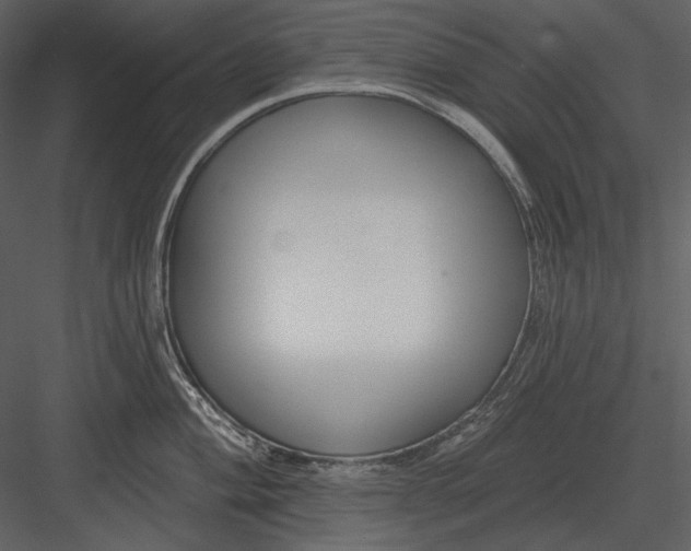 X0000082931004200702222214