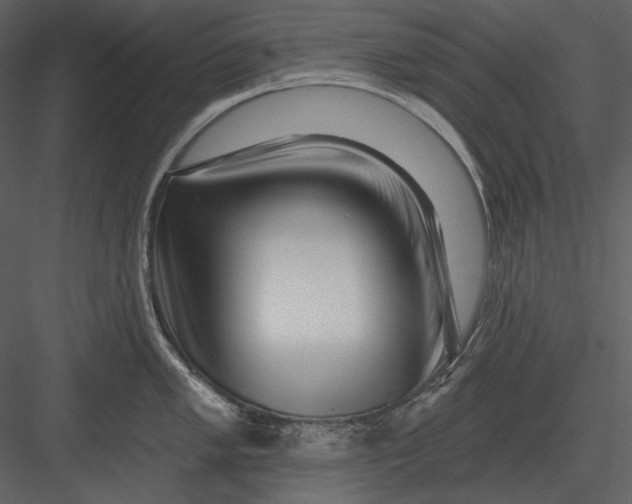 X0000082931005200702222214