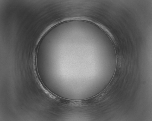 X0000082931006200702222214