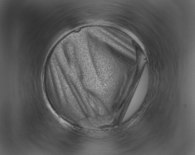 X0000082931007200702222214