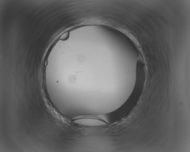 X0000082931008200702222214