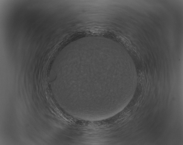 X0000082931009200702222214