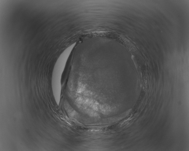 X0000082931010200702222214