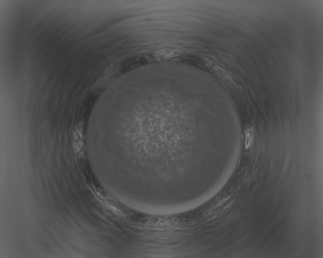 X0000082931011200702222214