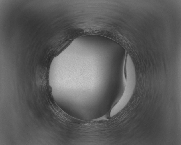 X0000082931012200702222214