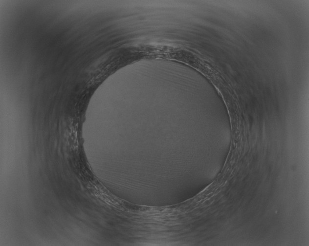 X0000082931013200702222214