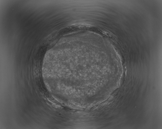 X0000082931014200702222214