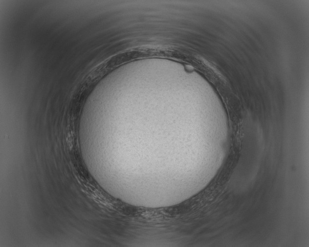 X0000082931015200702222214