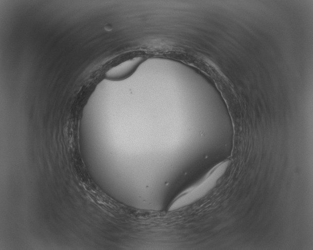 X0000082931016200702222214