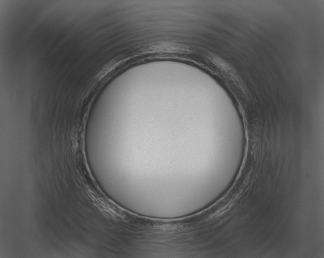 X0000082931017200702222214