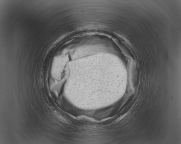 X0000082931018200702222214